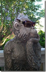 cool-monkey-thinker