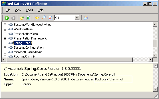 Reflector shows missing strong name